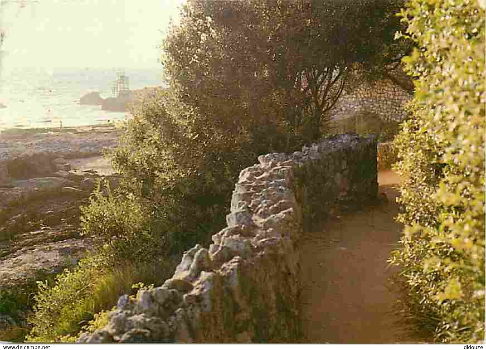 17 - Saint Palais sur Mer - Chemin de la Corniche - CPM - Voir Scans Recto-Verso