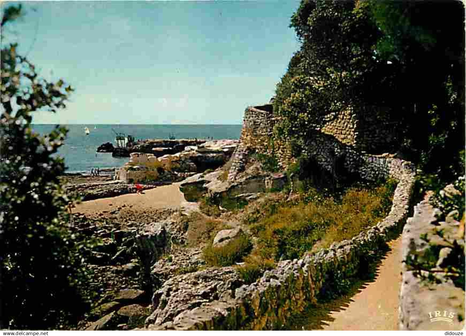 17 - Saint Palais sur Mer - La corniche - CPM - Voir Scans Recto-Verso