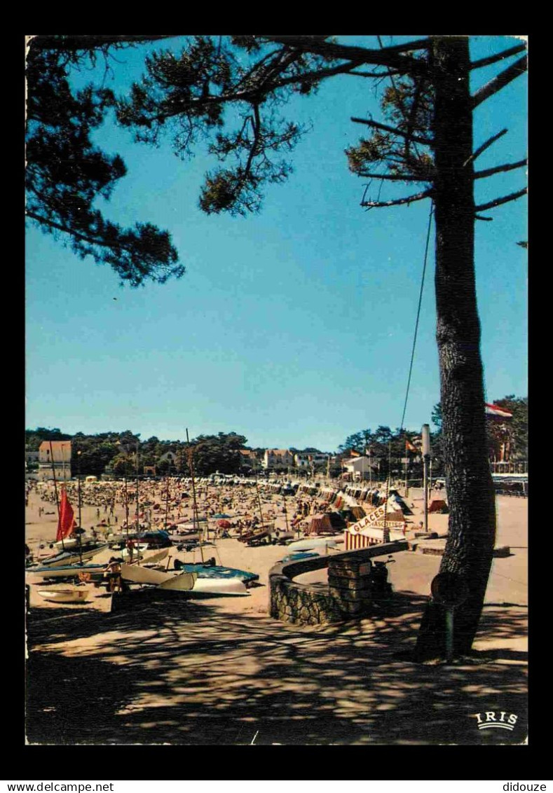 17 - Saint Palais sur Mer - La Plage - CPM - Voir Scans Recto-Verso