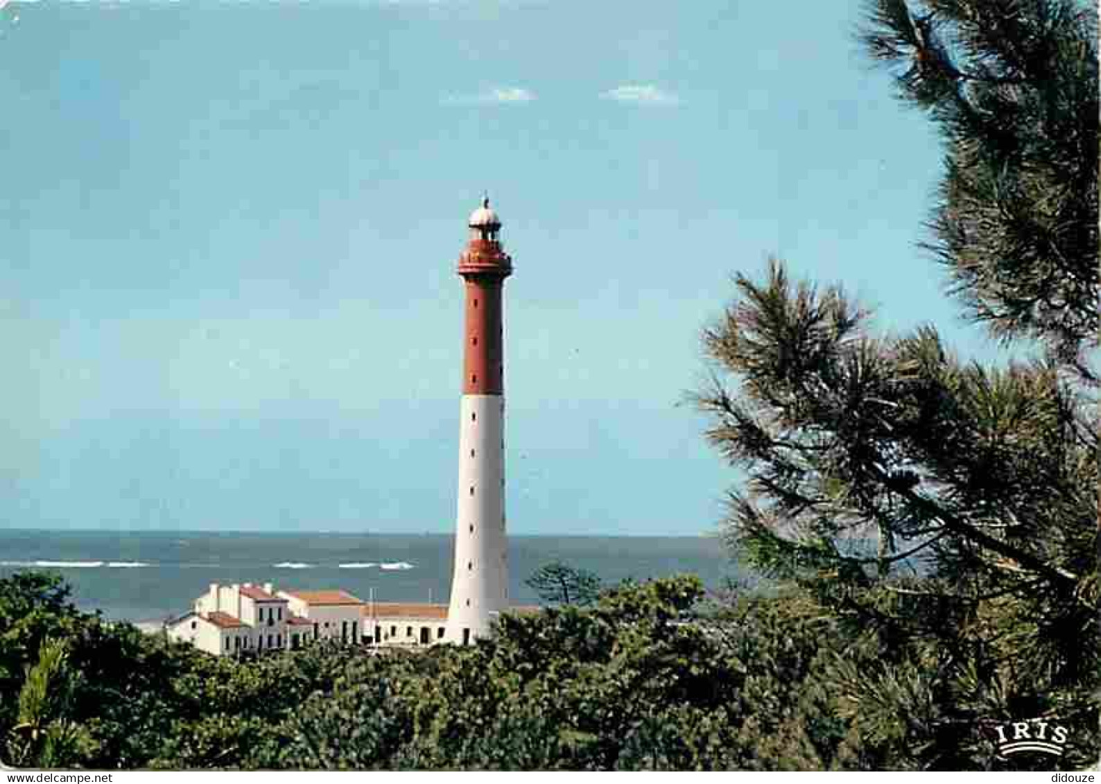 17 - Saint Palais sur Mer - Le Phare de La Coubre - CPM - Voir Scans Recto-Verso