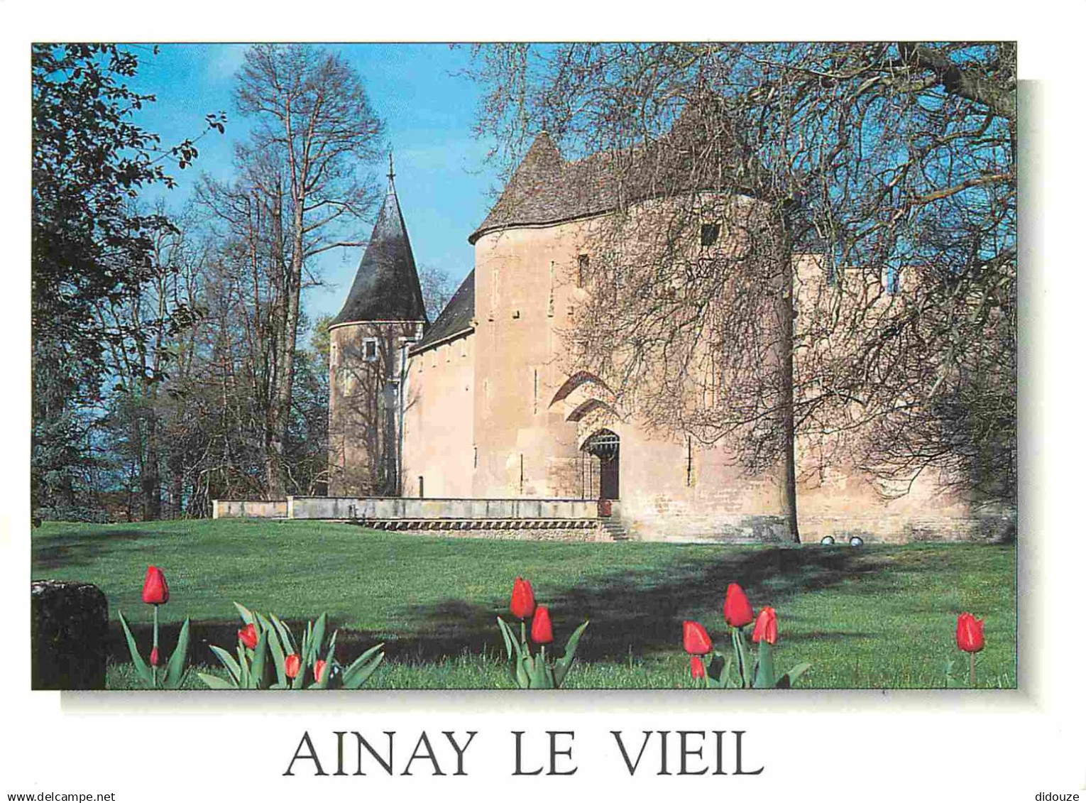 18 - Ainay le Vieil - Le Château - CPM - Voir Scans Recto-Verso