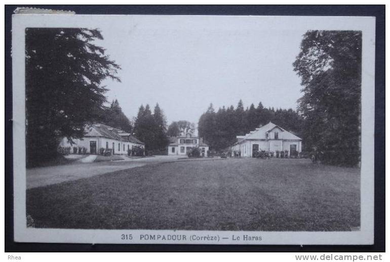 19 Arnac-Pompadour 315 POMPADOUR (Corrèze) - Le Haras animal cheval haras sépia D19D K19121K C19011C RH007219