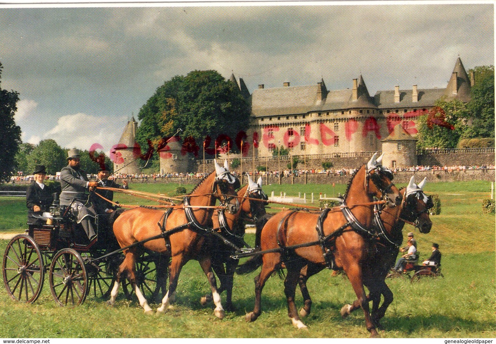 19- POMPADOUR ARNAC- DEMONSTRATION ATTELAGE - CORREZE