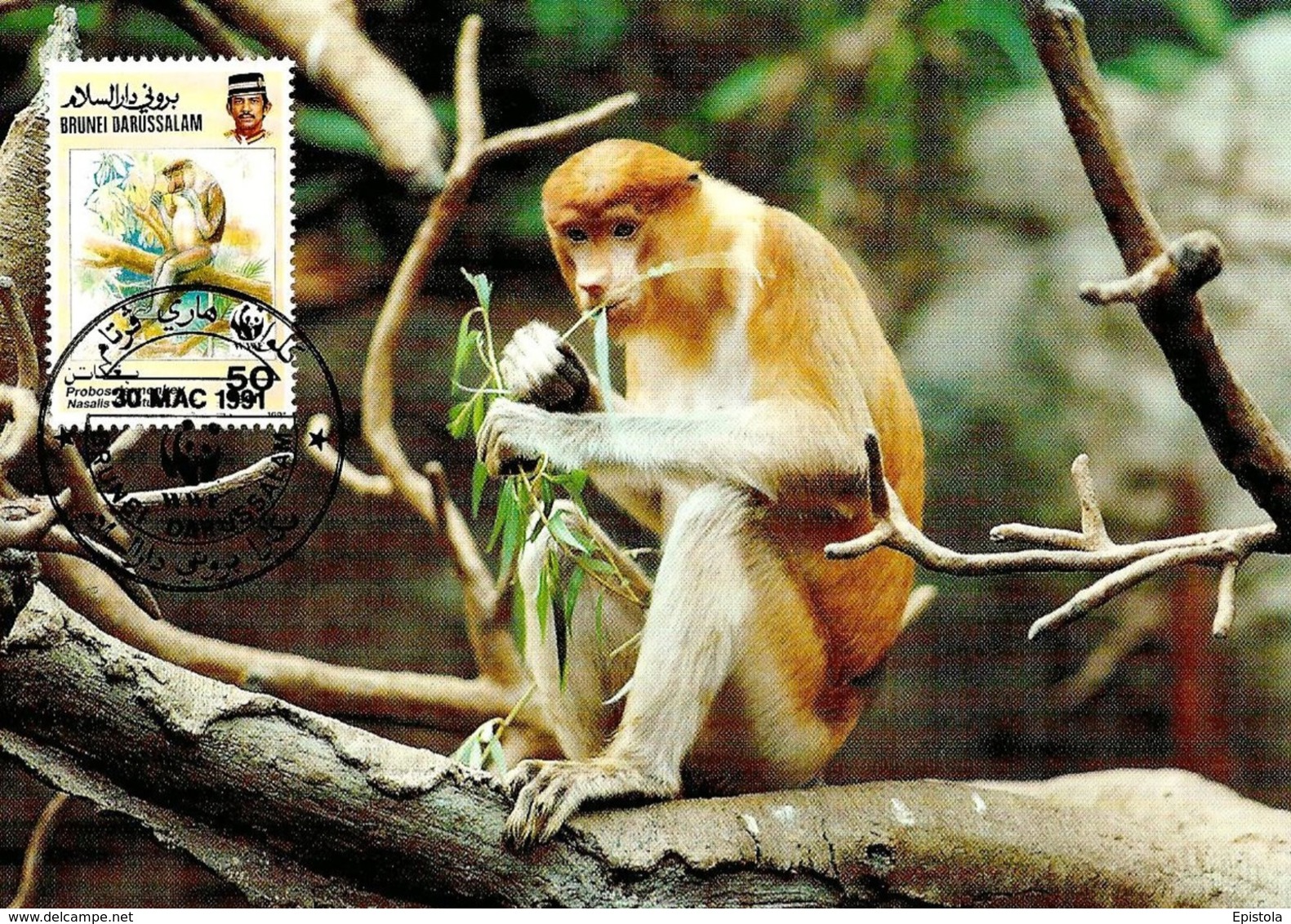 1991 - BRUNEI DARUSSALAM - Proboscis Monkey Singe  WWF