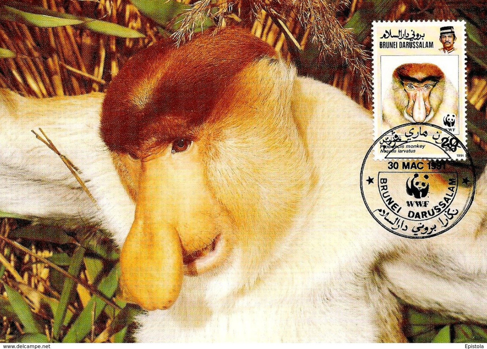 1991 - BRUNEI DARUSSALAM - Proboscis Monkey Singe  WWF