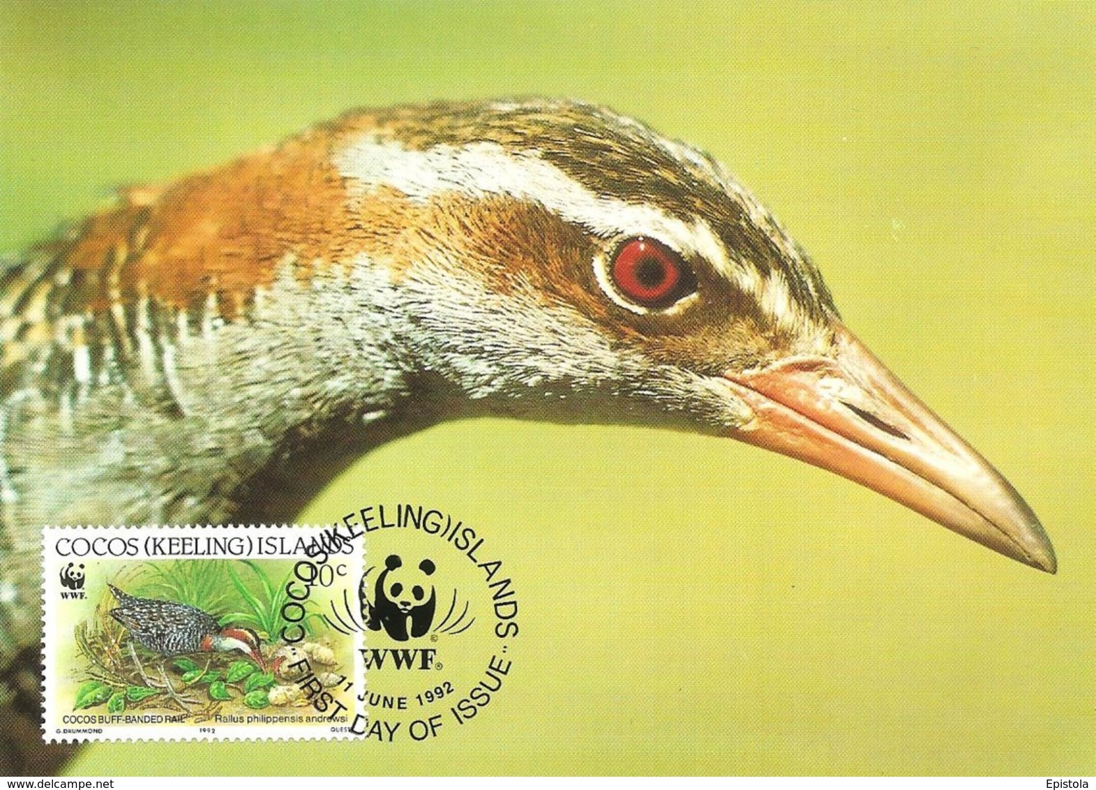 1992 - COCOS KEELING ISLANDS - Cocos Buff Banded Rail - Râle tiklin WWF