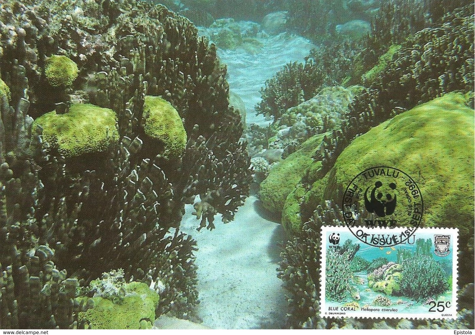 1992 - TUVALU - Blue Coral - Corail Bleu WWF