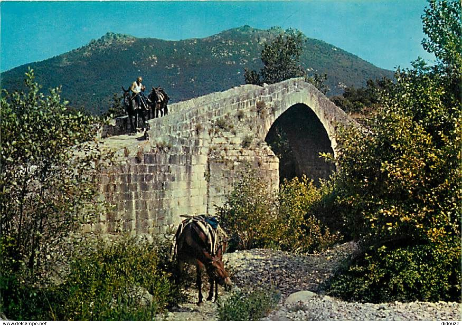 20 - Sartène - Pont Genois aux environs de Sartène - Chevaux - CPM - Voir Scans Recto-Verso