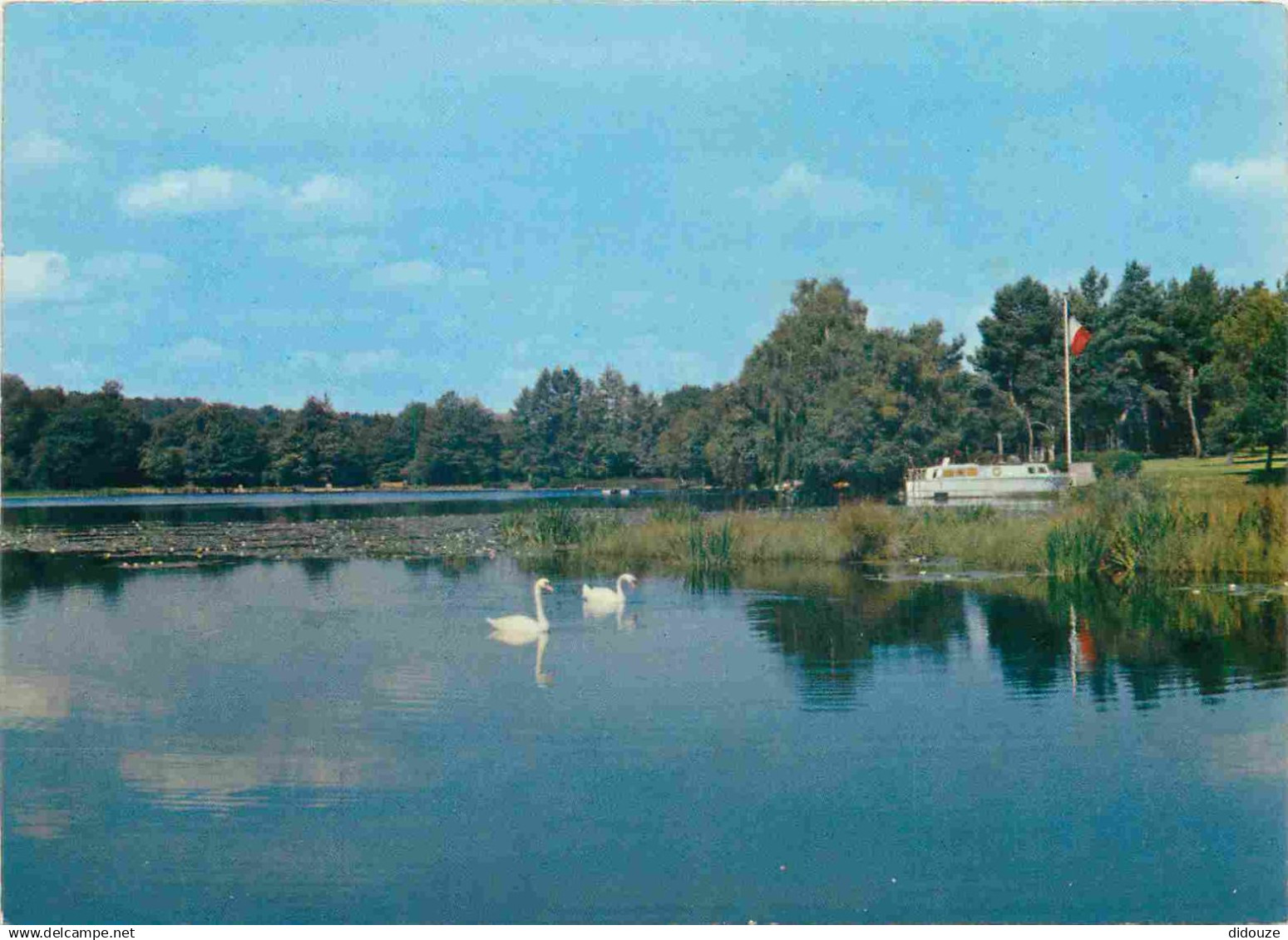 21 - Saulieu - Le Lac aux truites aux environs de Saulieu - CPM - Carte Neuve - Voir Scans Recto-Verso