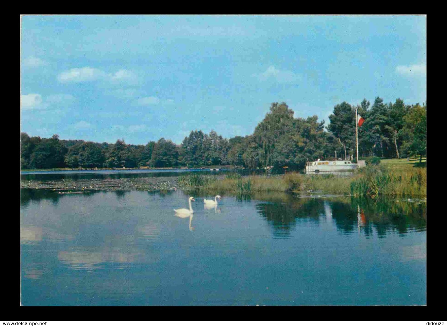 21 - Saulieu - Le Lac aux truites aux environs de Saulieu - CPM - Carte Neuve - Voir Scans Recto-Verso