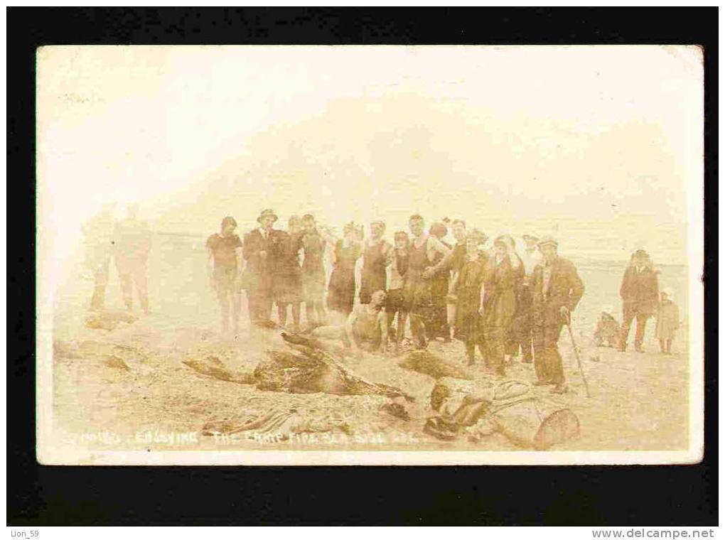 21888 / OR - Oregon > Portland ENJOYIKC THE CAMP FIRE 190 OREGON photo USED 1920 - 2c. Flamme to Bulgaria  pc