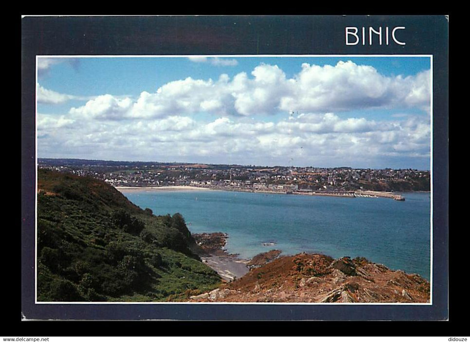 22 - Binic - Vue Générale - Flamme Postale de Binic - CPM - Voir Scans Recto-Verso