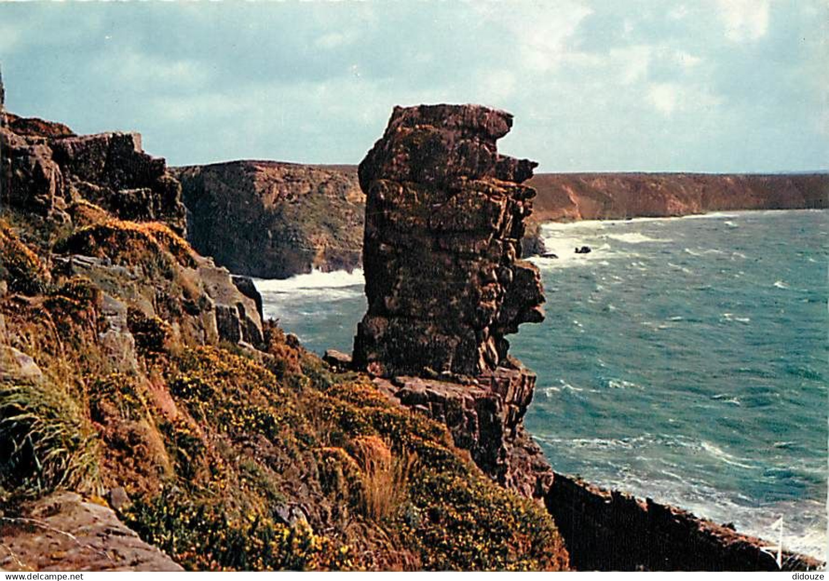 22 - Le Cap Fréhel - Etrange rocher sur la côte ouest du Cap Fréhel - Flamme Postale de Erquy - CPM - Voir Scans Recto-V