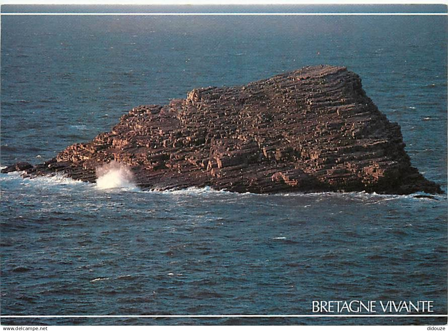 22 - Le Cap Fréhel - L'Amas du Cap - L'un des trois îlots de la réserve biologique du Cap Fréhel - Carte Bretagne Vivant