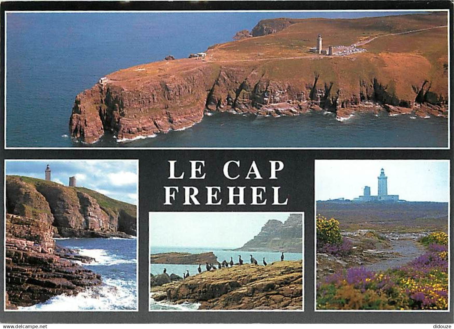 22 - Le Cap Fréhel - Multivues - CPM - Voir Scans Recto-Verso