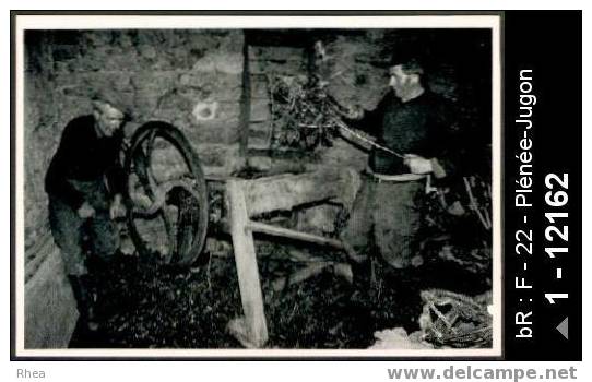 22 Plénée-Jugon - René et Jean Corbel hachent des ajoncs pour leurs chevaux, Plénée-Jugon (Cô /  D22D  K22084K  C22185C