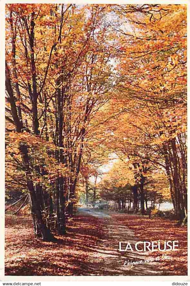 23 - Creuse - Vacances en Creuse - Foret - CPM - Voir Scans Recto-Verso