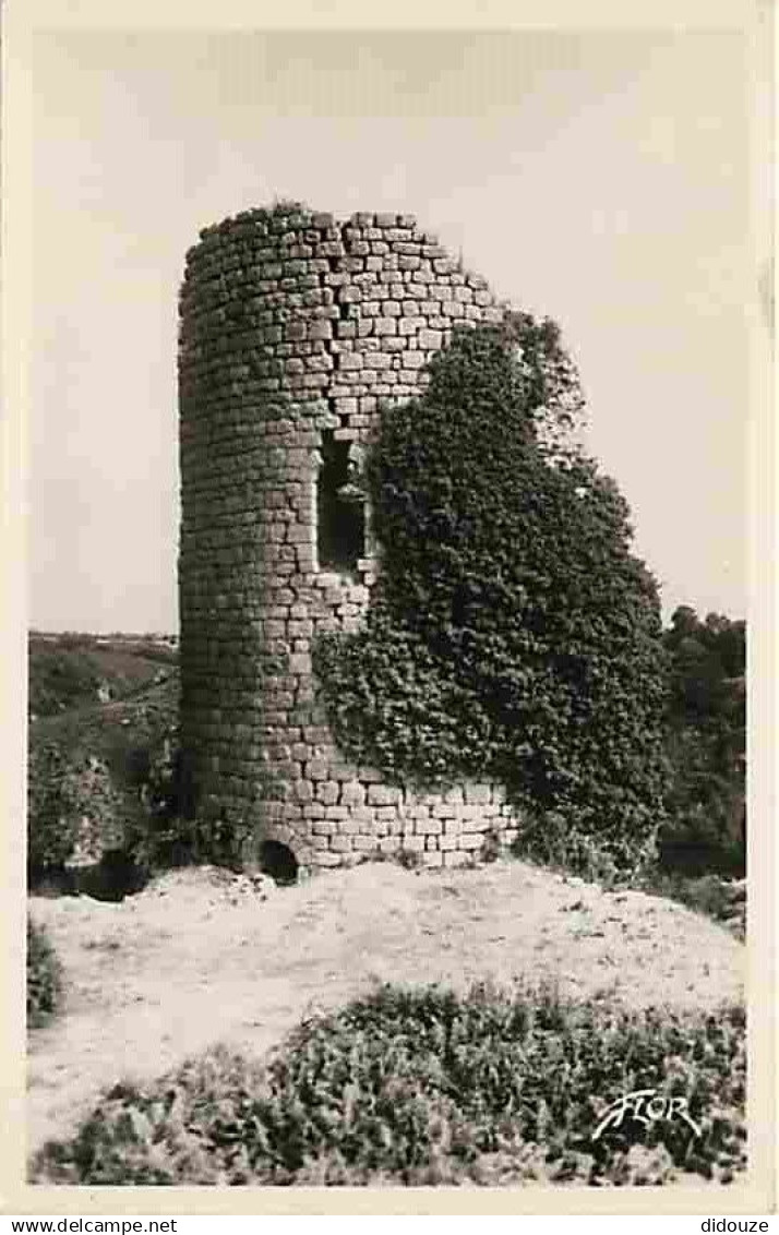 23 - Crozant - Les ruines du Château de Crozant - Tour du Renard - Tour Colin - CPM - Voir Scans Recto-Verso