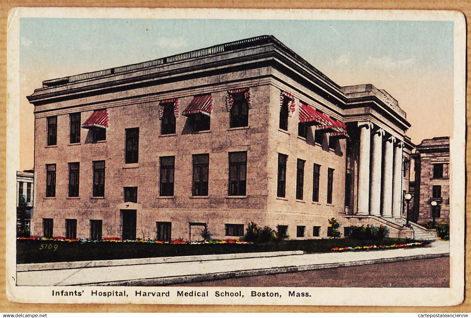 23951 / ⭐ BOSTON Infants' Hospital HARVARD Medical School MA - Massachusetts 1910s / ABRAMS Roxburry