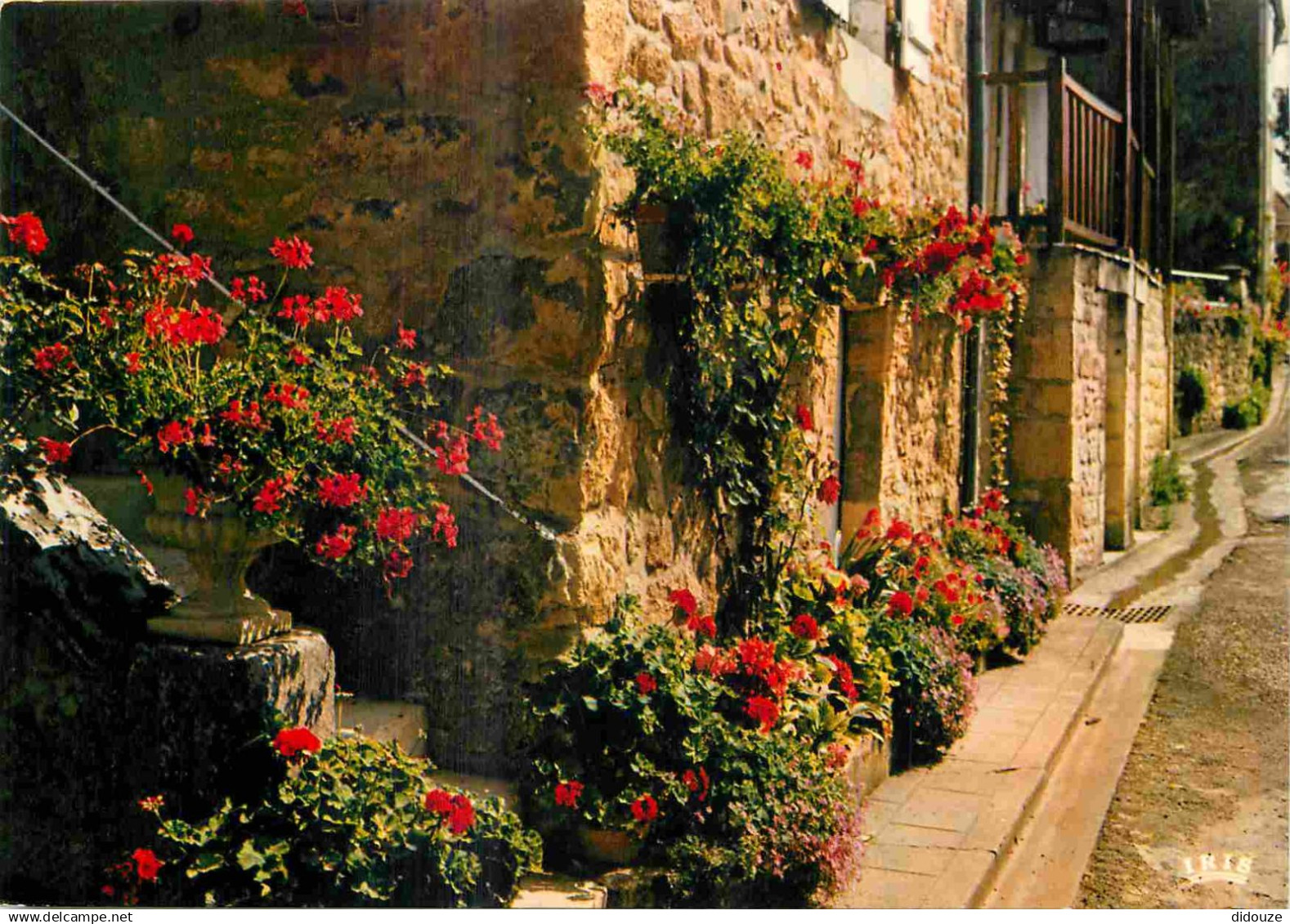 24 - Domme - Ruelle fleurie - CPM - Voir Scans Recto-Verso