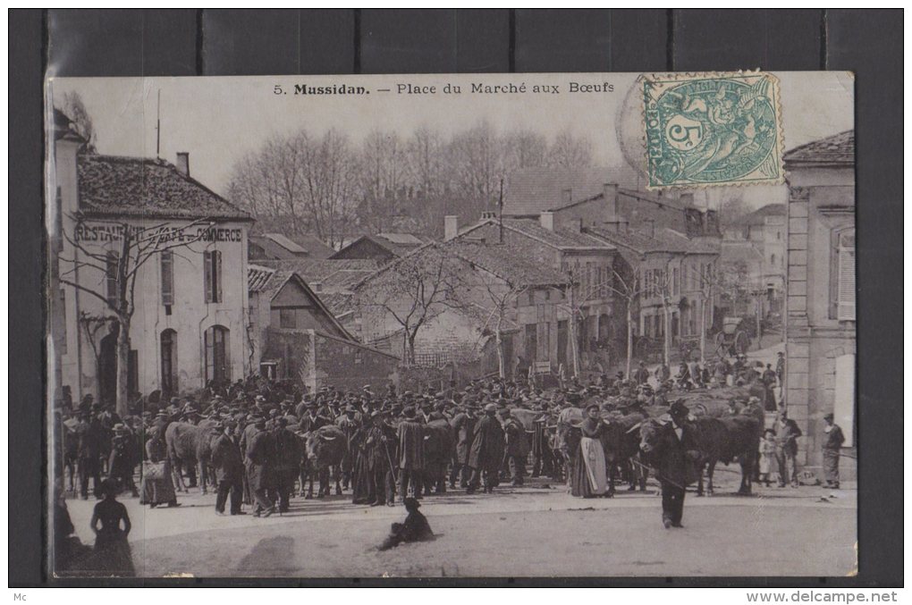 24 - Mussidan - Place du marché aux Boeufs - Carte vernie