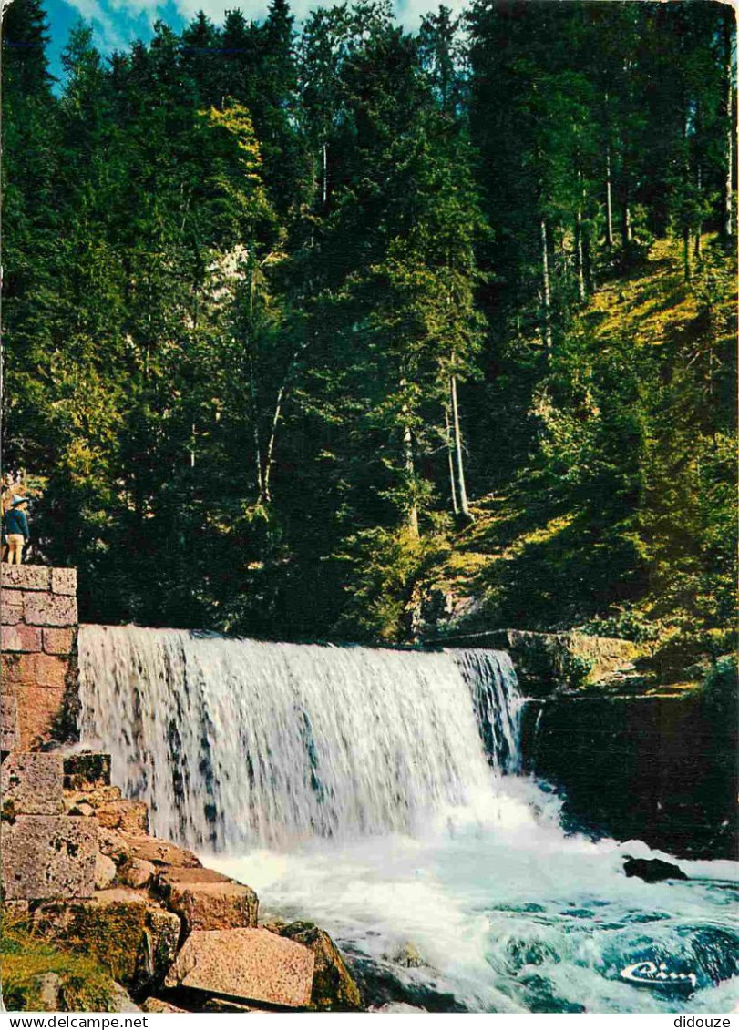 25 - Mouthe - Cascade de la source du Doubs - CPM - Voir Scans Recto-Verso