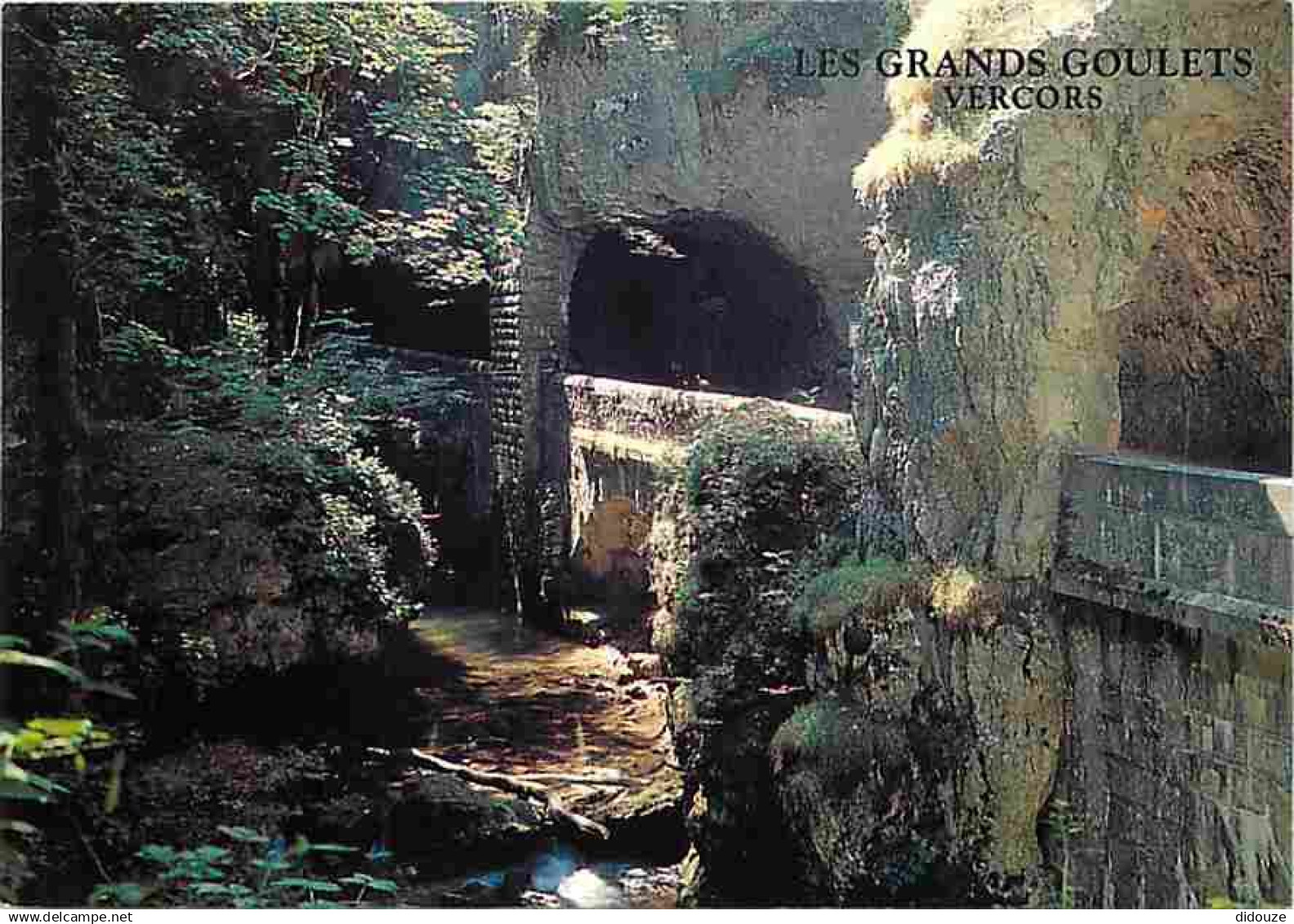 26 - Drome - Vercors - Les Grands Goulets - CPM - Voir Scans Recto-Verso