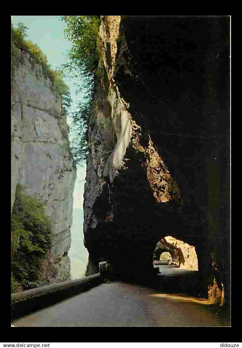 26 - Drome - Vercors - Les Grands Goulets - CPM - Voir Scans Recto-Verso