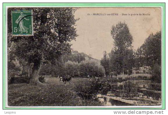 27 - MARCILLY sur EURE -- Dans la prairie du ....