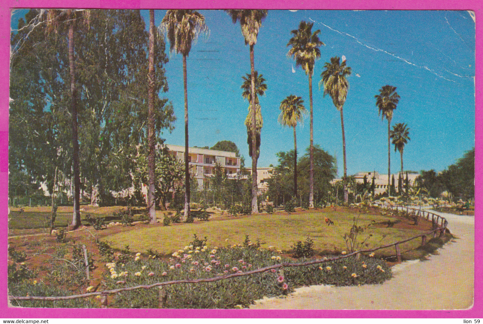 289060 / Israel - Hadera - Founder's Garden 1960 Palm House PC 5362 Israele postcard