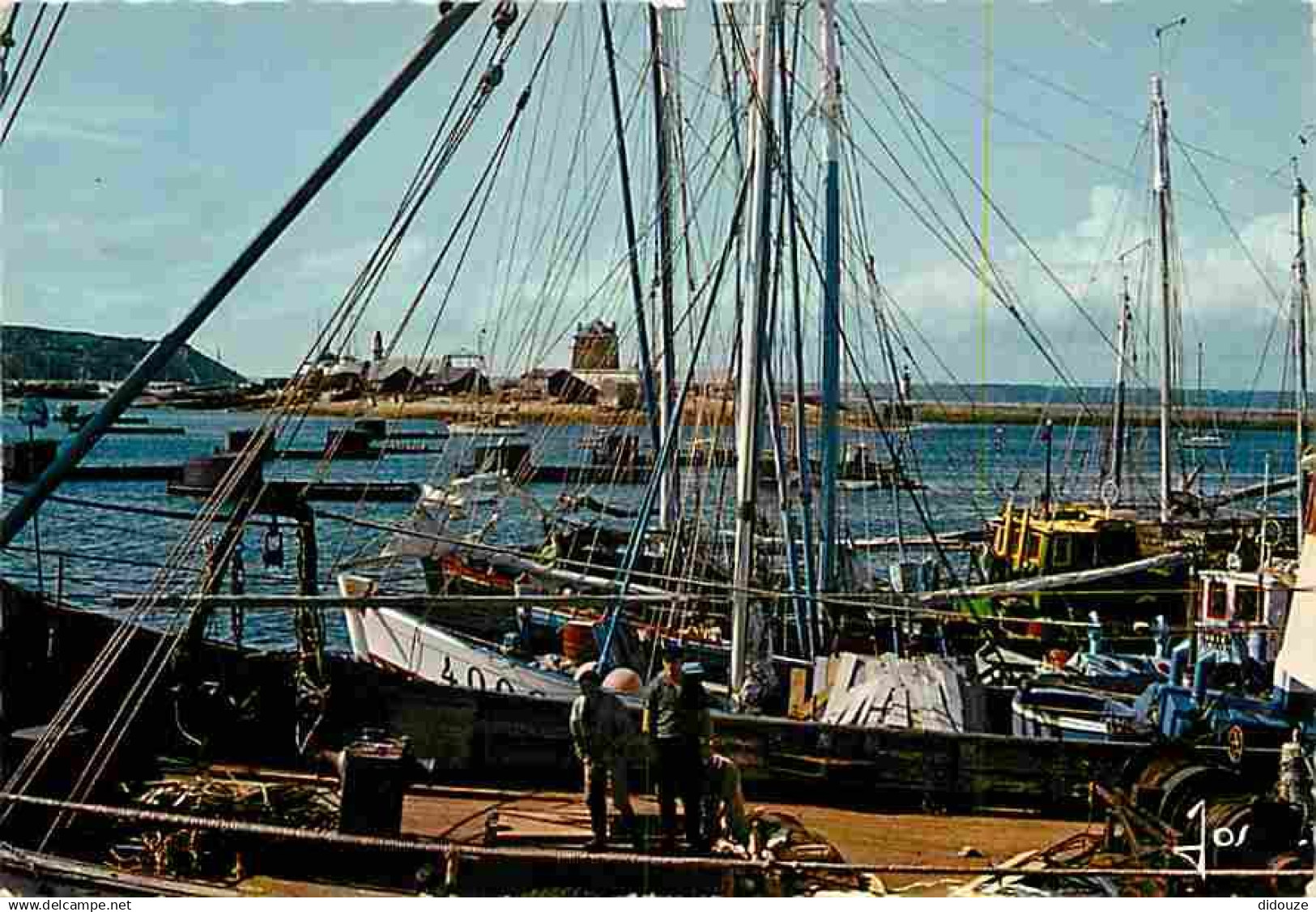 29 - Camaret sur Mer - Le Sillon vu du fond du Port - Bateaux - Flamme Postale - Voir Scans Recto Verso