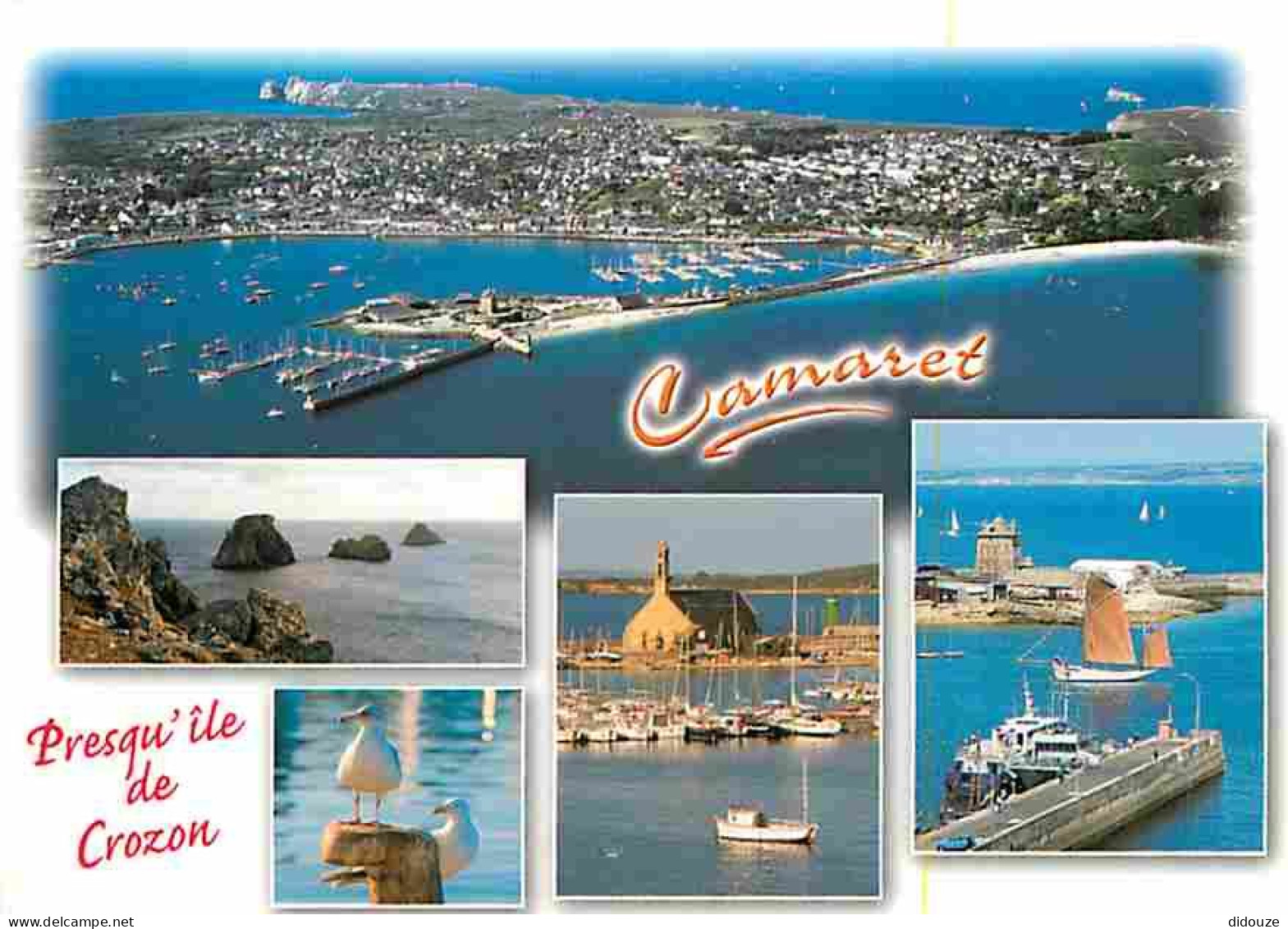 29 - Camaret sur Mer - Multivues - Bateaux - Flamme Postale - Voir Scans Recto Verso