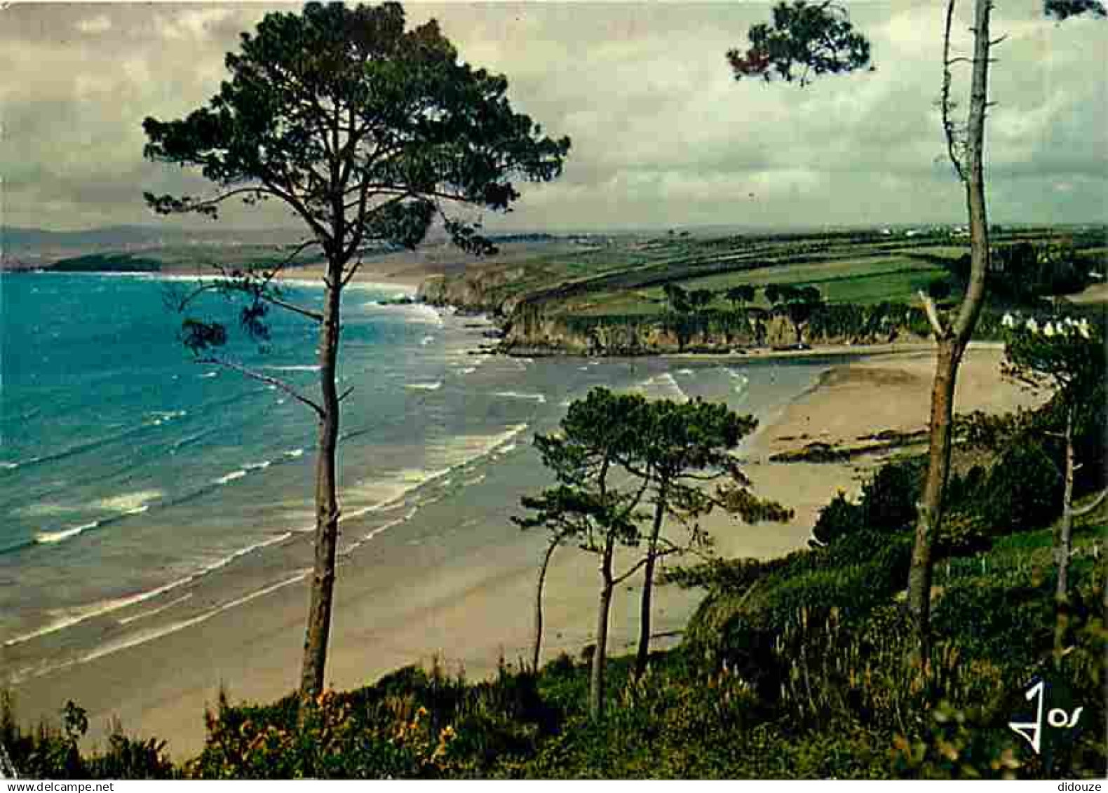 29 - Douarnenez - La Plage du Ris et la Baie de Douarnenez - Voir Scans Recto Verso