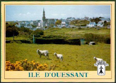 29 Ouessant - ILE D´OUESSANT - cpm