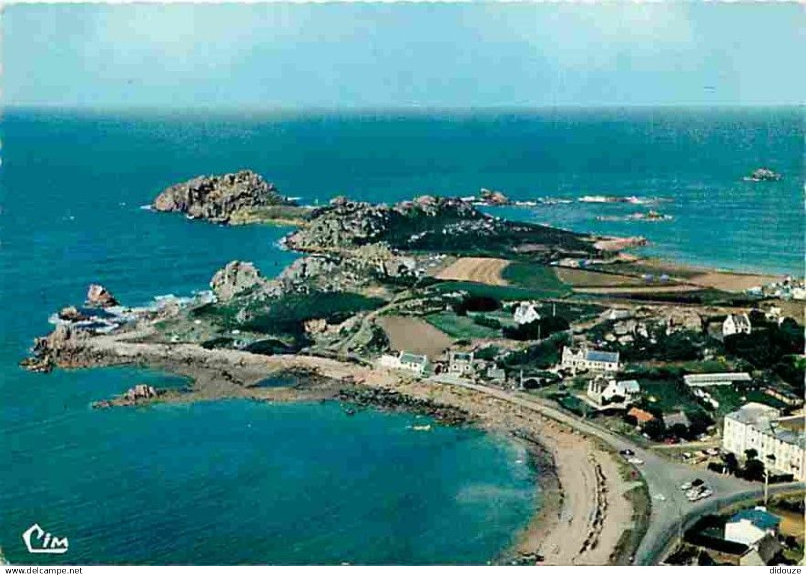 29 - Plougasnou - Primel - Trégastel - La Pointe de Trégastel - Vue aérienne - Voir Scans Recto Verso