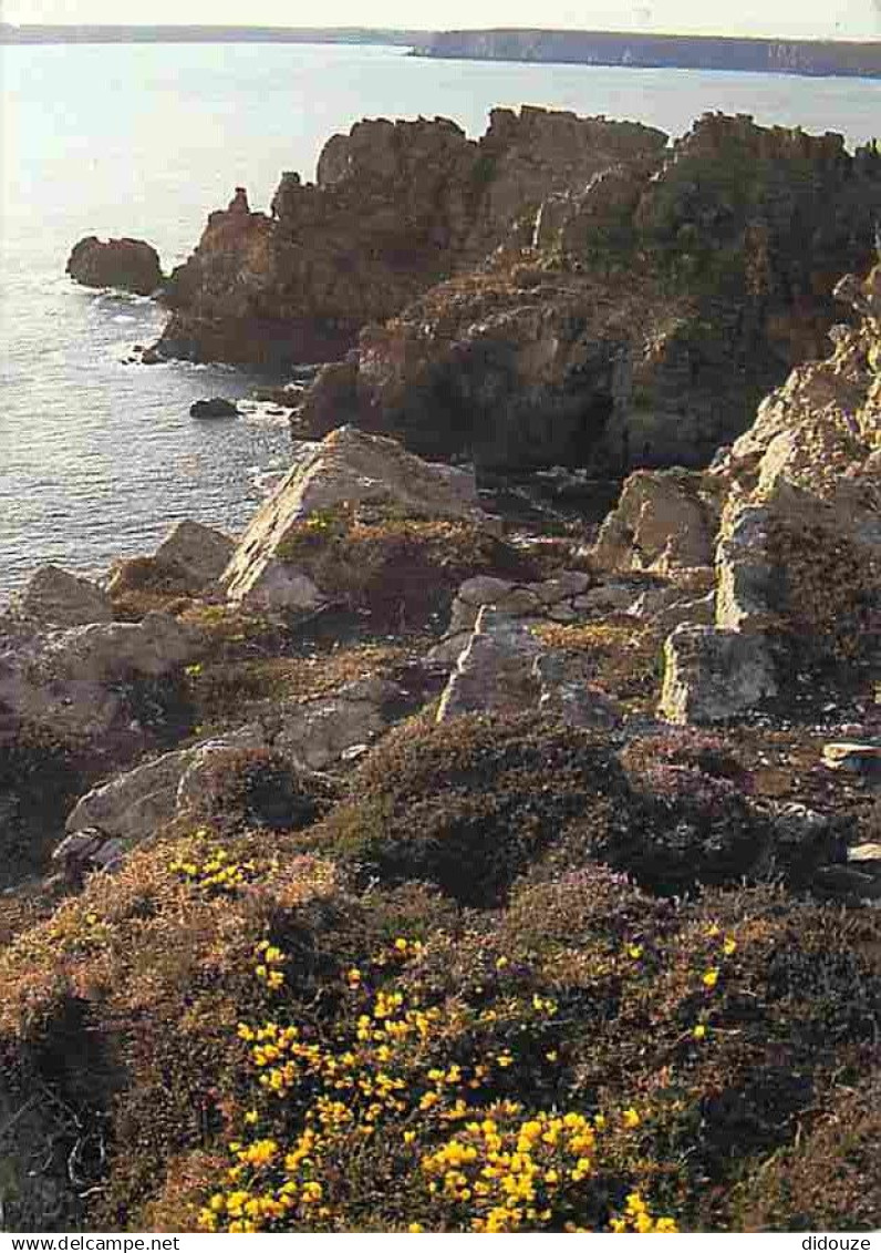 29 - Presqu'ile de Crozon - La Cote près du Château de Dinan - Voir Scans Recto Verso