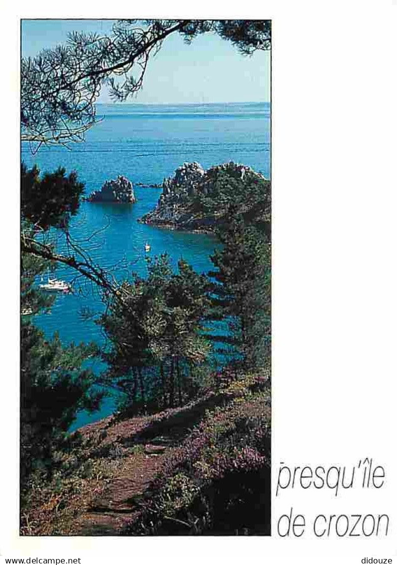 29 - Presqu'ile de Crozon - Morgat - Les Falaises - Voir Scans Recto Verso