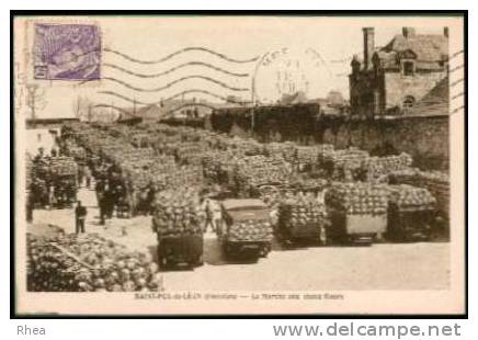 29 Saint-Pol-de-Léon SAINT-POL-de-LEON (Finistère) - Le Marché choux-fleurs legume fle D29D K29259K C29259C RH009859