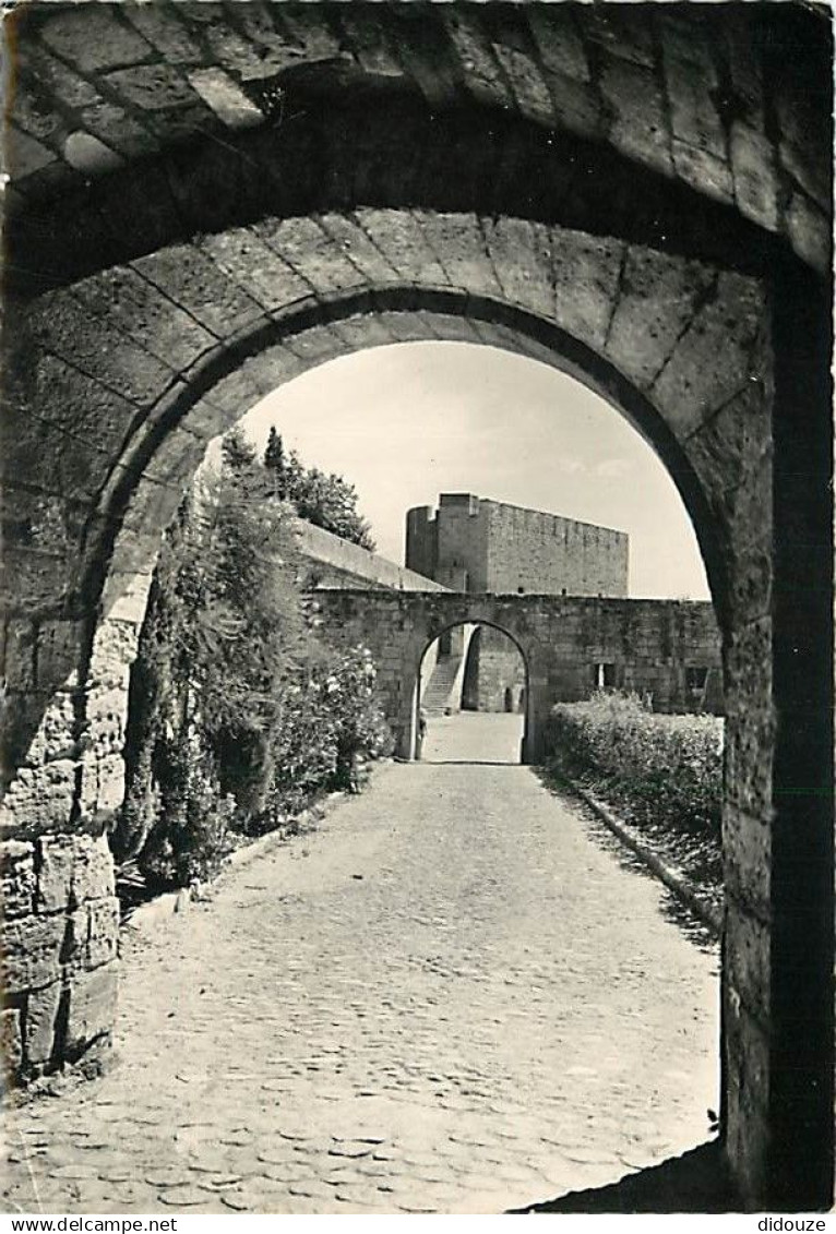 30 - Aigues Mortes - La porte de la Gardette vue de la Douane - CPSM grand format - Flamme Postale de Aigues Mortes - Ca