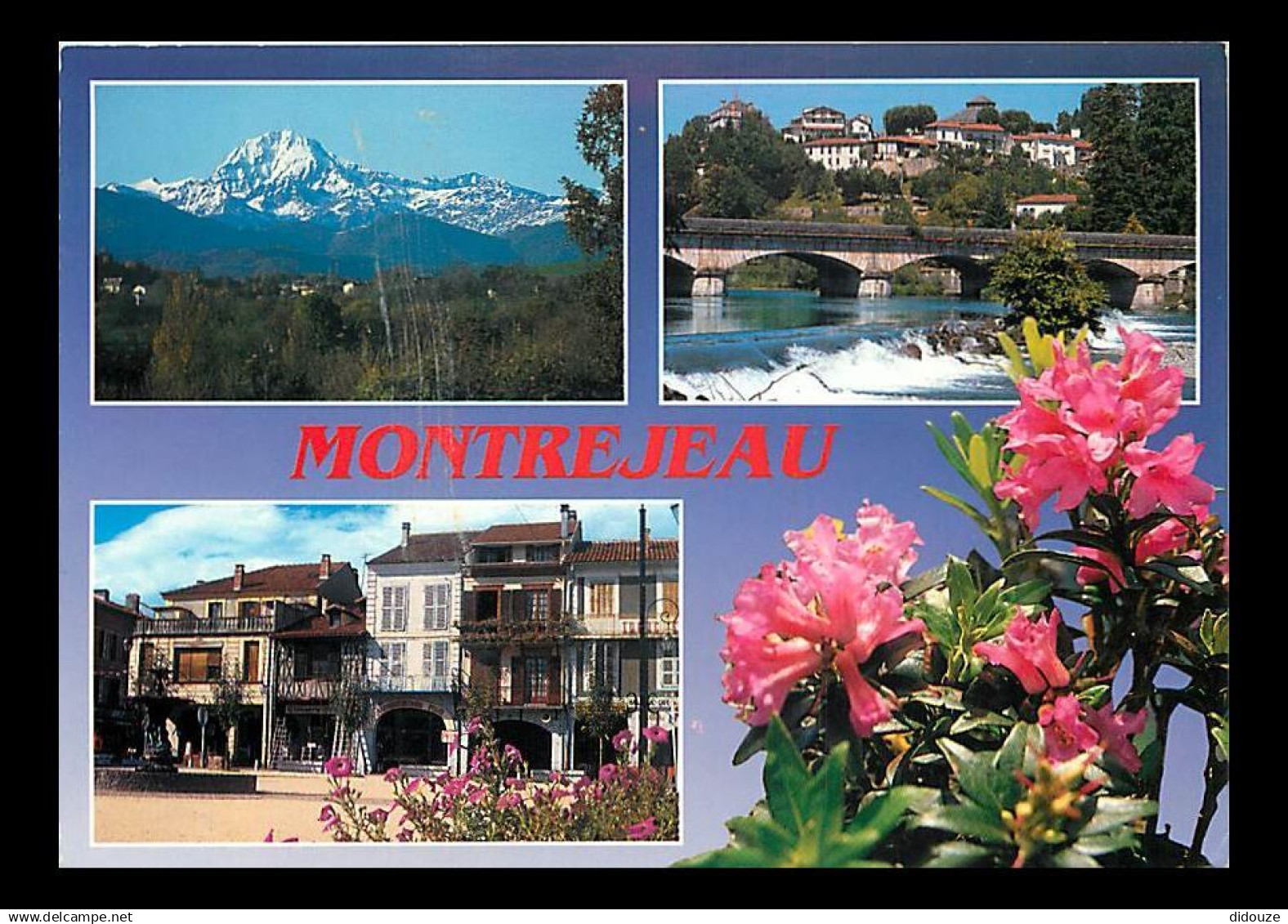 31 - Montrejeau - Multivues - CPM - Voir Scans Recto-Verso