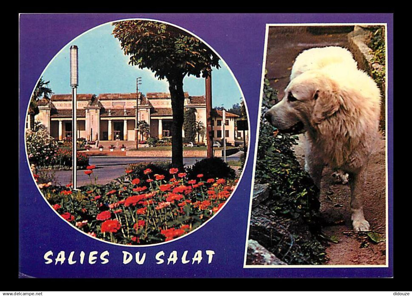 31 - Salies du Salat - CPM - Voir Scans Recto-Verso