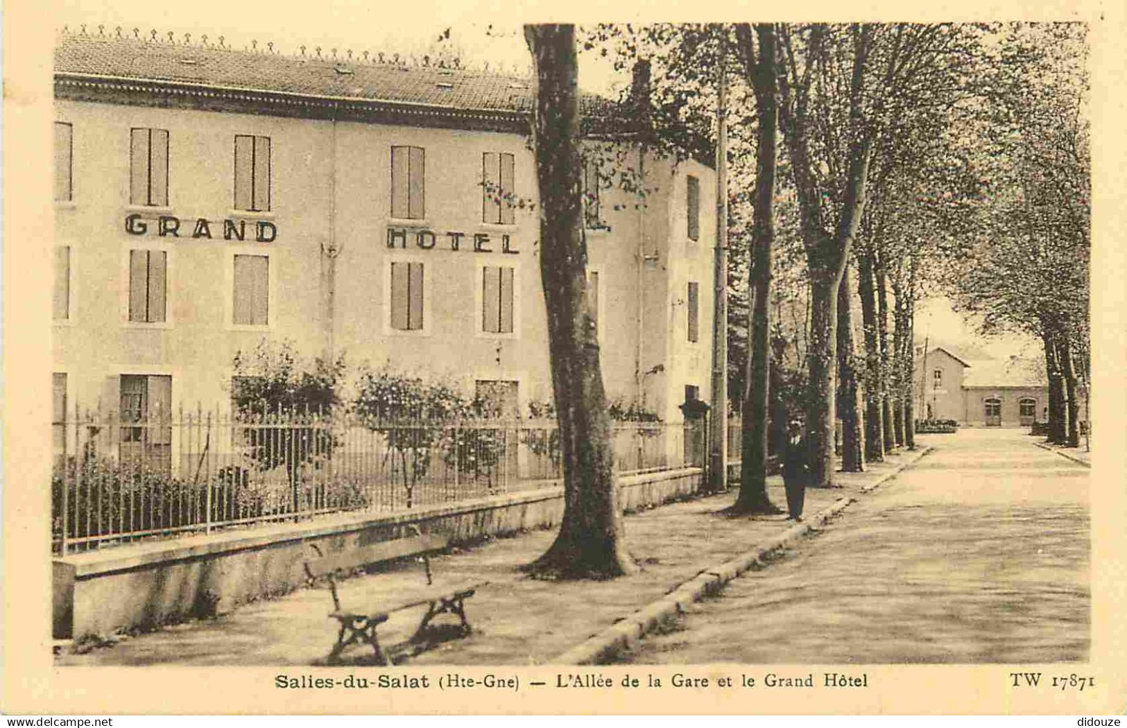 31 - Salies du Salat - L'Allée de la Gare et le Grand Hôtel - CPA - Voir Scans Recto-Verso