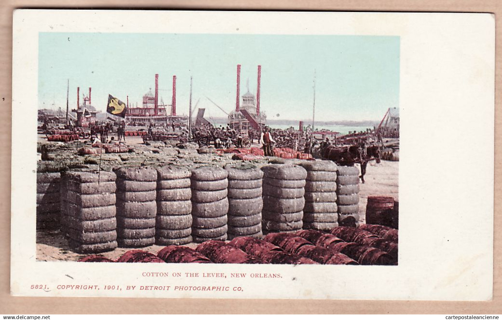 31948 / NEW-ORLEANS Louisiana-LA COTTON on the LEVEE Copyright 1901 By DETROIT PHOTOGRAPHIC Co N°5821