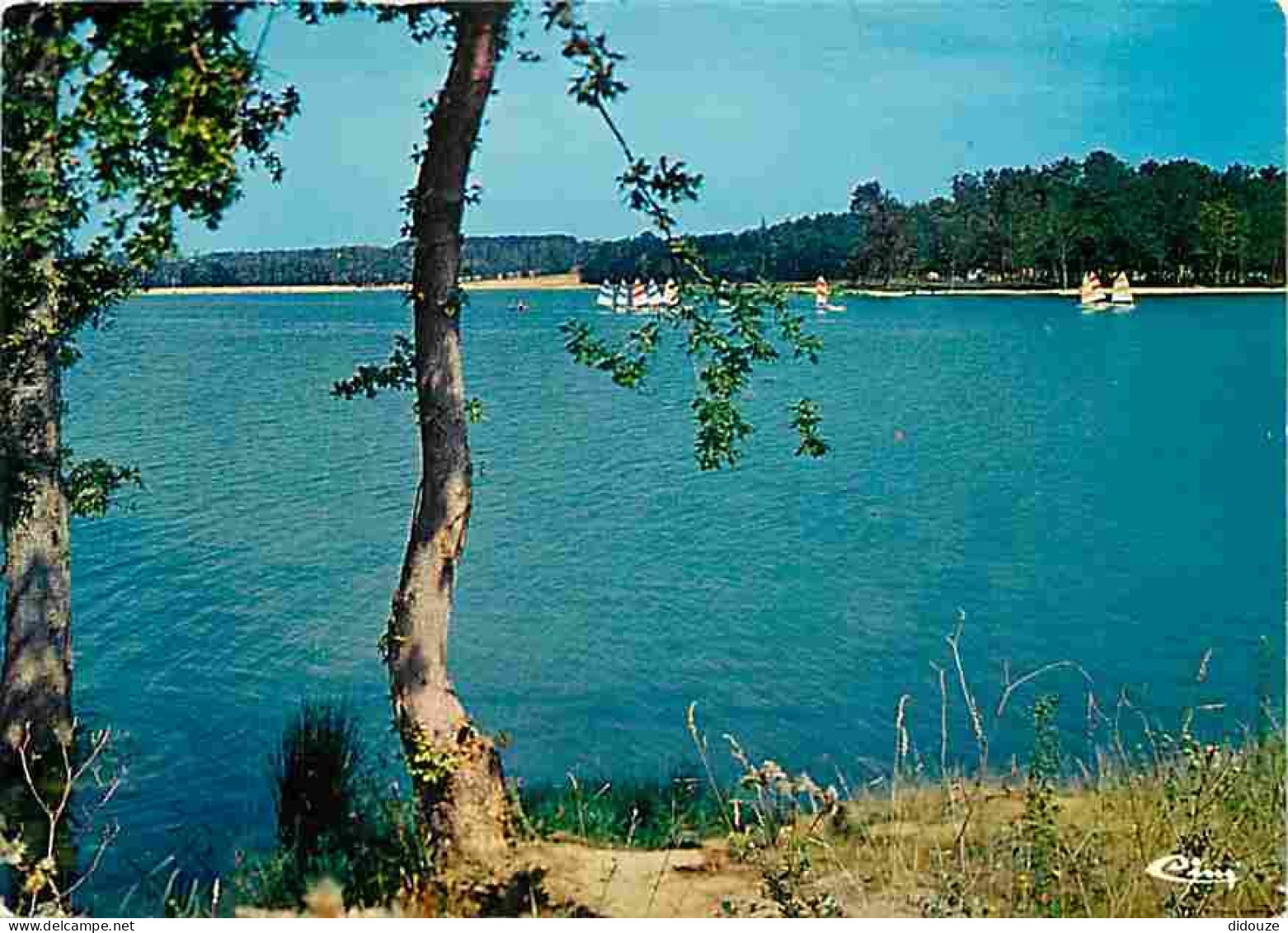 32 - Barbotan les Thermes - Le Lac de L'Uby - Voile - Flamme Postale de Barbotan les Thermes - CPM - Voir Scans Recto-Ve