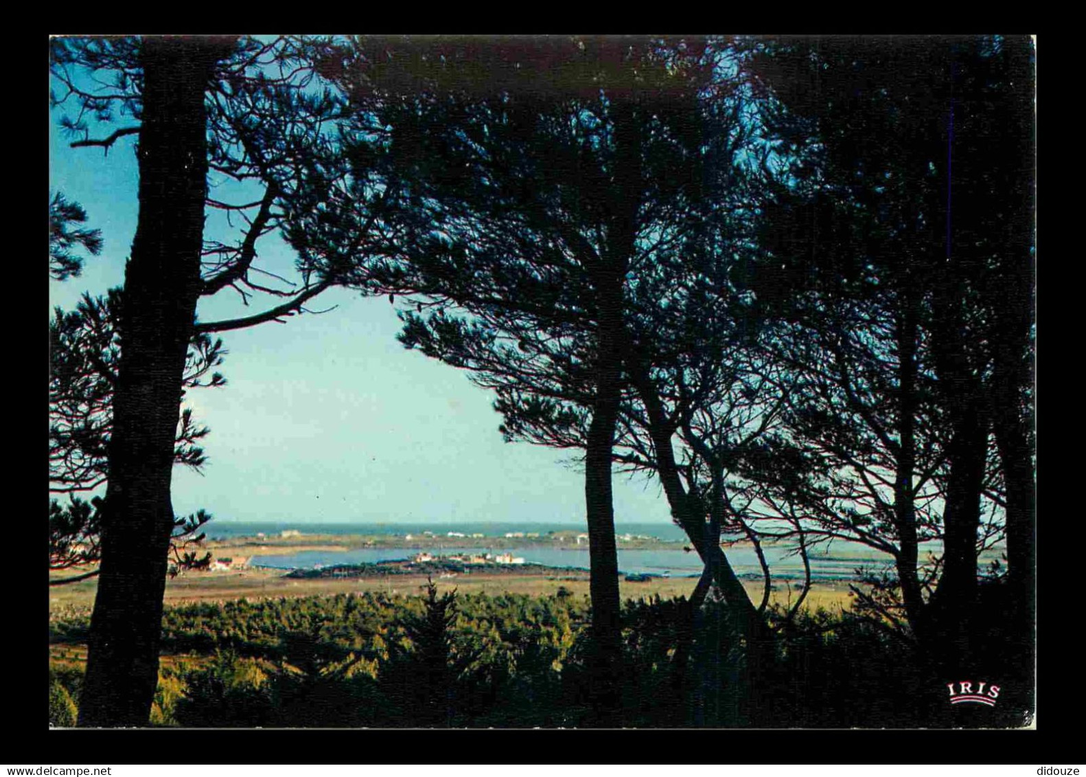 34 - Cap d'Agde - Le Plan d'eau vu du Mont Saint Martin - CPM - Voir Scans Recto-Verso