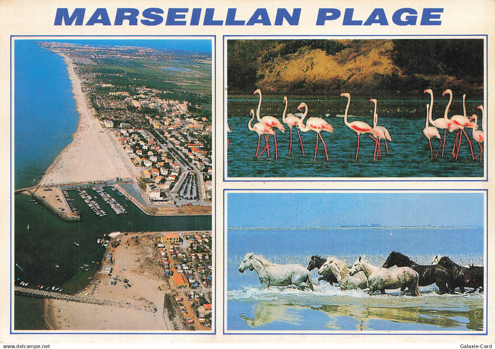 34 MARSEILLAN MARSEILLAN PLAGE