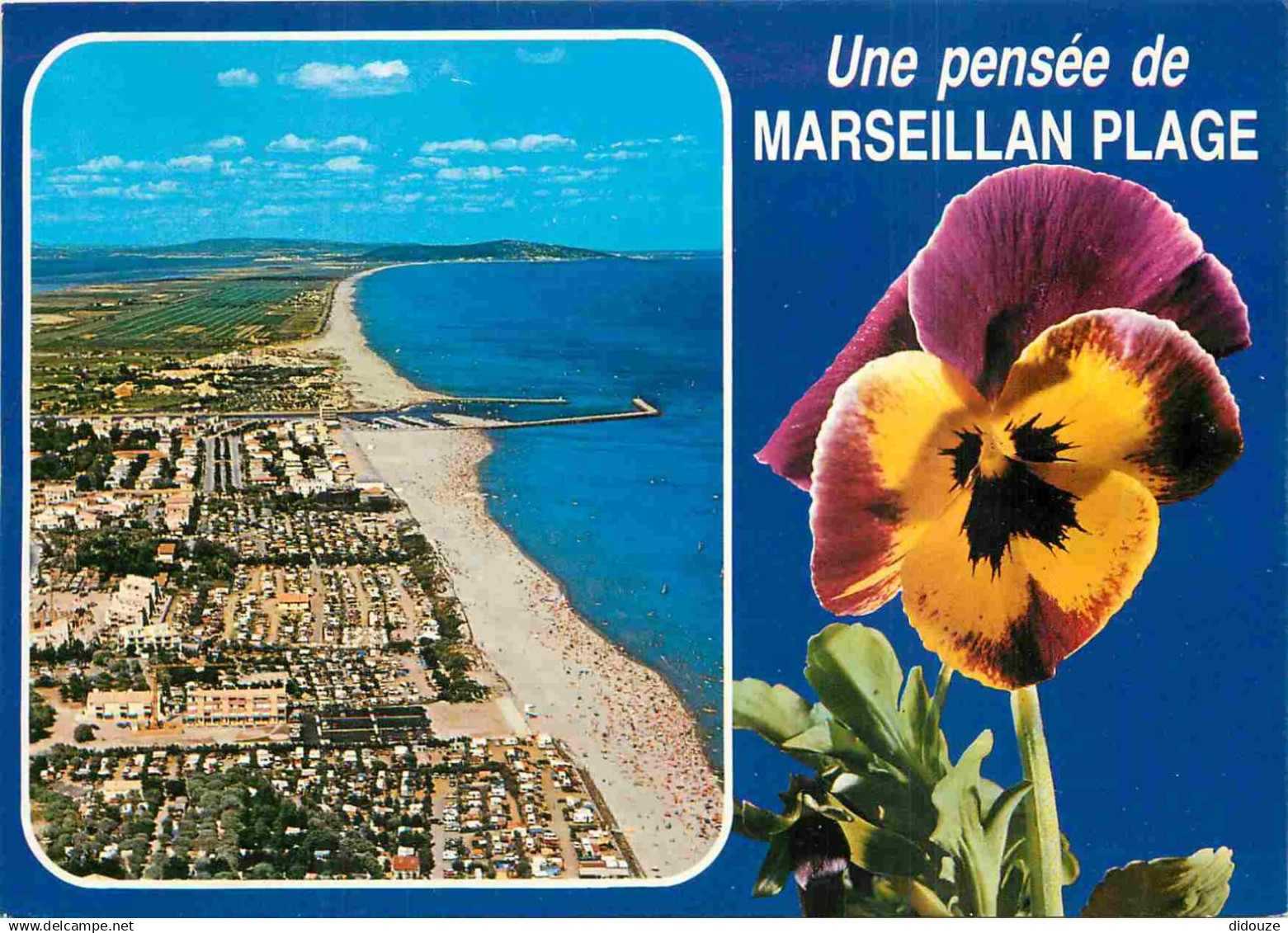 34 - Marseillan Plage - Vue Générale aérienne - Pensées - Fleurs - CPM - Carte Neuve - Voir Scans Recto-Verso