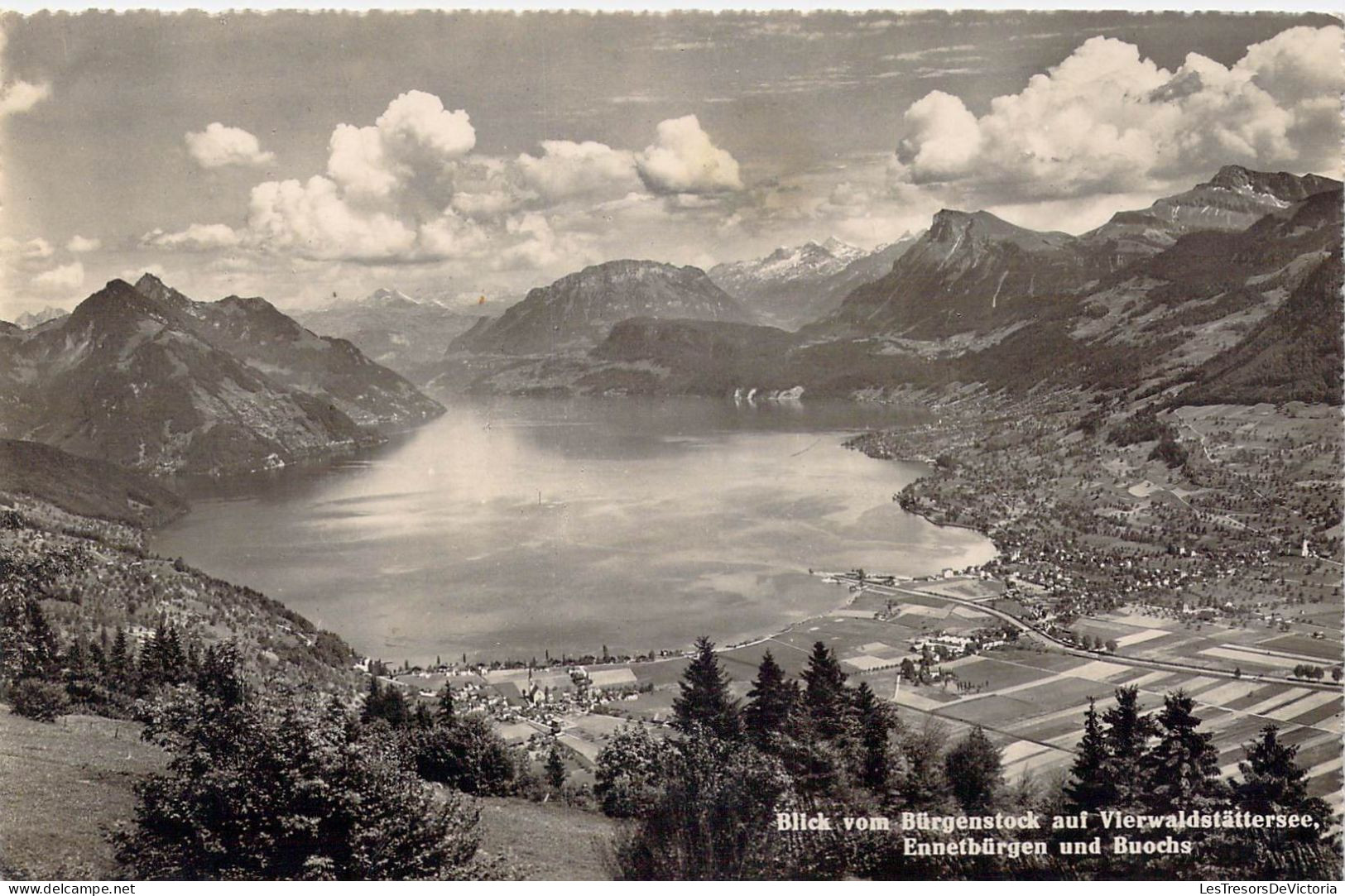 [-35%] SUISSE - Blick vom Bürgenstock aui Vierwaldstattersee - Ennetburgen und Buochs - Carte postale ancienne