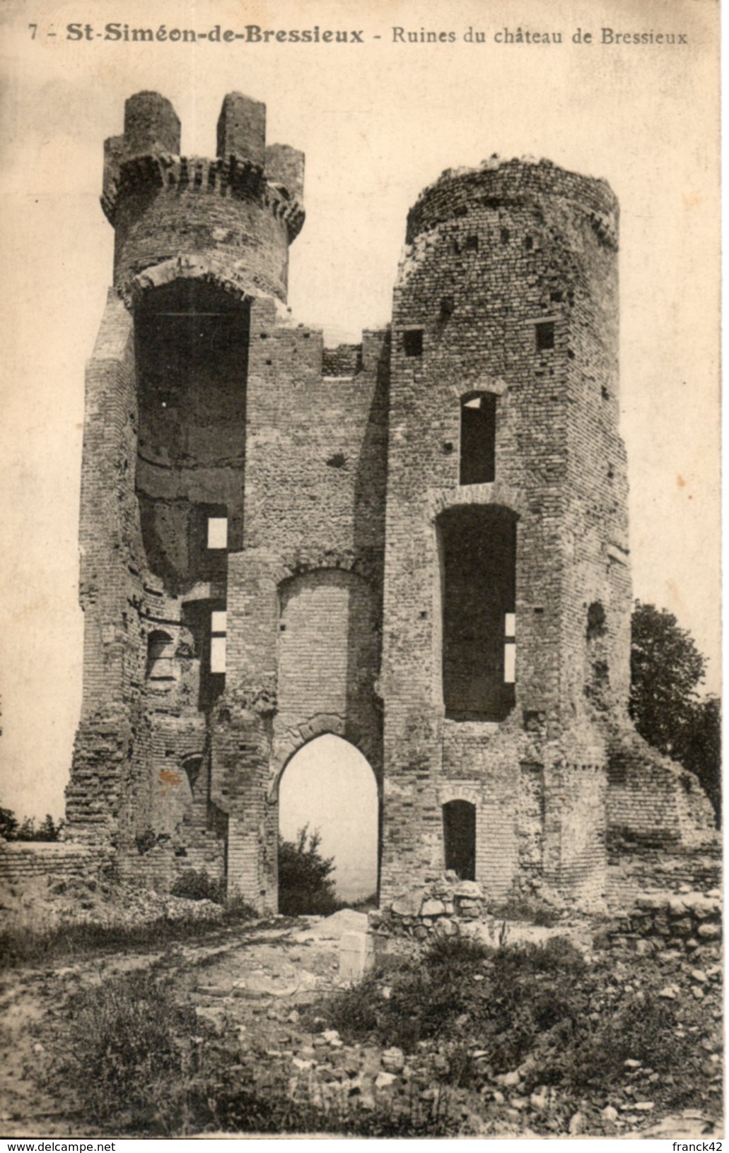 38. saint simeon de bressieux.  ruines du chateau de bressieux