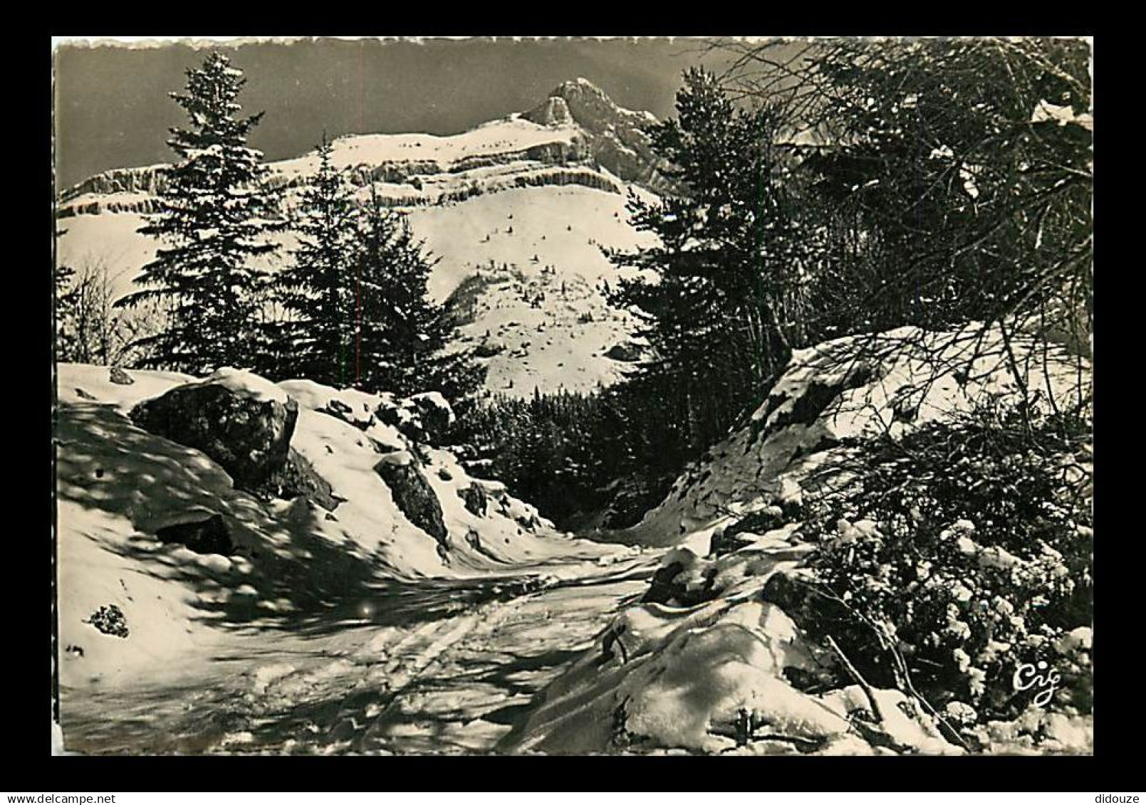 38 - Villard de Lans - Environs de Villard de Lans - Le Cornafion (2031 m.) - Hiver - Neige - Carte dentelée - CPSM gran